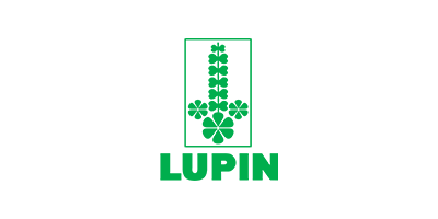 Lupin