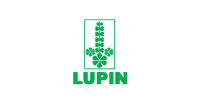 Lupin